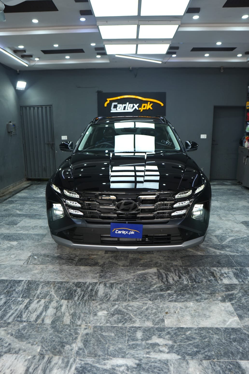 Carlex PPF Tint Wrap